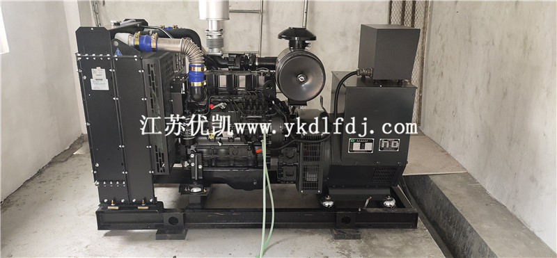 2021年1月26日，100KW上柴發(fā)電機(jī)組交付廣西防城港某養(yǎng)豬場使用