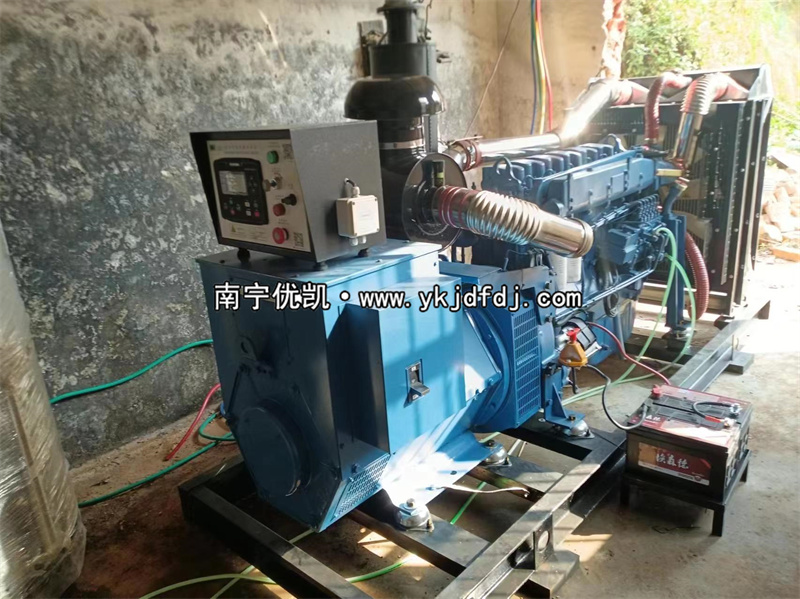 2024年3月5日，200kw濰坊雷納發(fā)電機組某學(xué)校到貨安裝